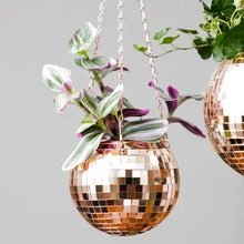 Load image into Gallery viewer, Disco Balls in Color