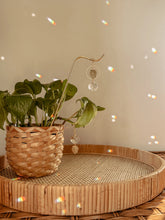 Load image into Gallery viewer, Plant Stake and Vine Charm Set
