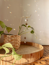 Load image into Gallery viewer, Plant Stake and Vine Charm Set