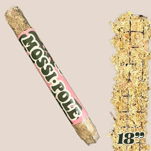 Load image into Gallery viewer, Sphagnum Moss "Mossi Pole"
