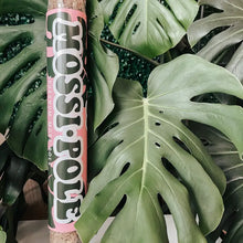 Load image into Gallery viewer, Sphagnum Moss "Mossi Pole"