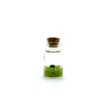 Load image into Gallery viewer, Niños Moss Buddies