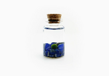 Load image into Gallery viewer, Niños Moss Buddies