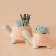 Load image into Gallery viewer, Turtle Planter