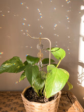 Load image into Gallery viewer, Plant Stake Suncatcher