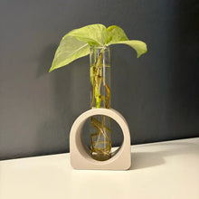 Load image into Gallery viewer, 3D Printed Dome Propagation Station