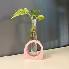 Load image into Gallery viewer, 3D Printed Dome Propagation Station