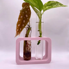 Load image into Gallery viewer, 3D Printed Dual Propagation Station