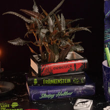 Load image into Gallery viewer, Stacked Books Planter