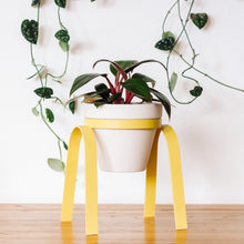 Load image into Gallery viewer, Metal Plant Stand with Pot