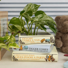 Load image into Gallery viewer, Stacked Books Planter