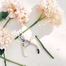 Load image into Gallery viewer, Pruning Shears