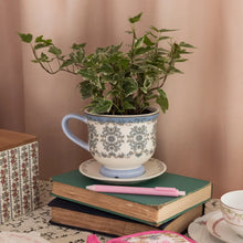 Load image into Gallery viewer, Tea Cup Planter