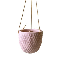 Load image into Gallery viewer, Virago 3.5" Hanging Planter