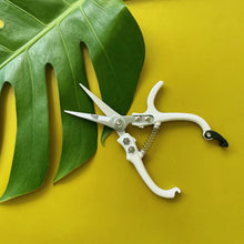 Load image into Gallery viewer, Pruning Shears