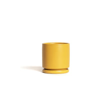 Load image into Gallery viewer, 4.5" Pot with Water Tray