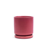 Load image into Gallery viewer, 4.5" Pot with Water Tray