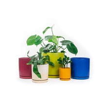 Load image into Gallery viewer, 4.5" Pot with Water Tray