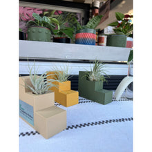 Load image into Gallery viewer, SALE - Propagation Station 3D Printed