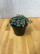 Load image into Gallery viewer, String of Hearts
