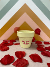 Load image into Gallery viewer, Candy Heart Pots