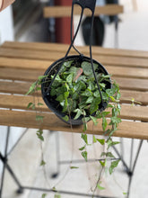 Load image into Gallery viewer, String of Arrows