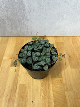 Load image into Gallery viewer, String of Hearts