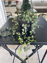 Load image into Gallery viewer, String of Hearts