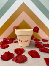 Load image into Gallery viewer, Candy Heart Pots