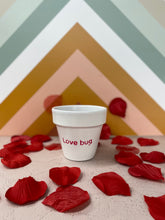 Load image into Gallery viewer, Candy Heart Pots