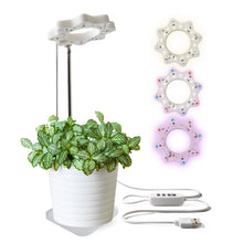 Load image into Gallery viewer, Bloomie Indoor Grow Light
