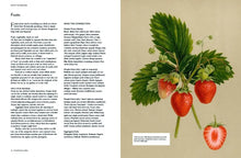 Load image into Gallery viewer, The Botanical Bible
