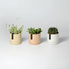 Load image into Gallery viewer, 3.5&quot; Earth Tone Mini Planters
