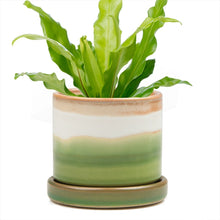 Load image into Gallery viewer, Minute Ceramic Plant Pots Indoor 5&quot;
