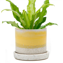 Load image into Gallery viewer, Minute Ceramic Plant Pots Indoor 5&quot;

