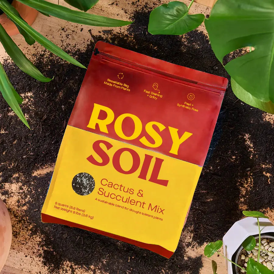 Rosy Soil - 4qt Organic Cactus & Succulent Mix