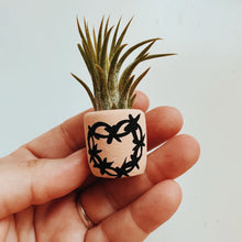 Load image into Gallery viewer, Barbwire Heart Mini Planter
