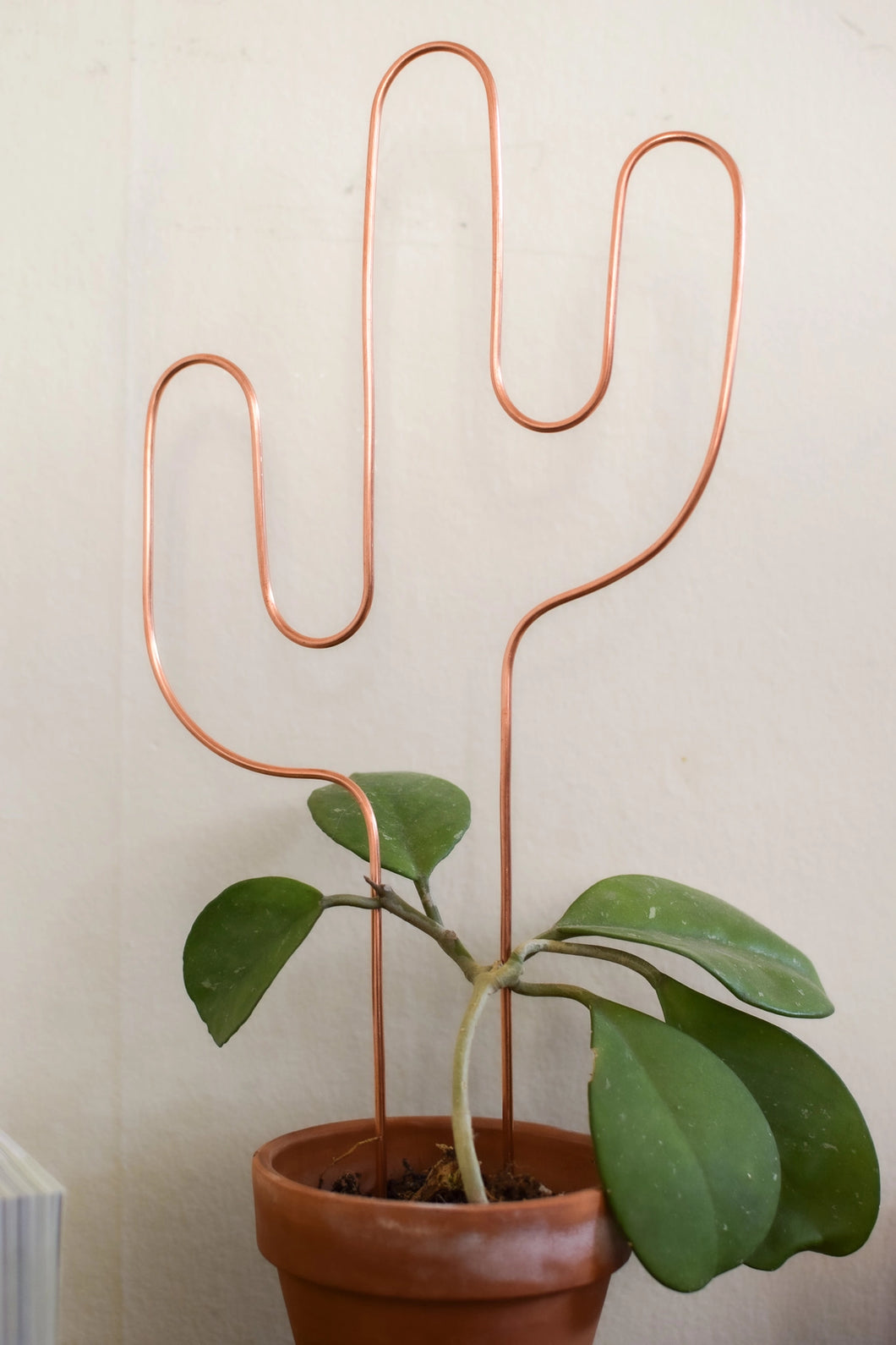 Cactus Plant Trellis - Copper