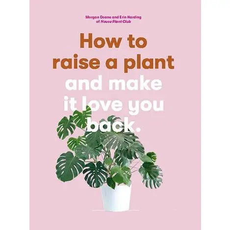 How To Raise A Plant