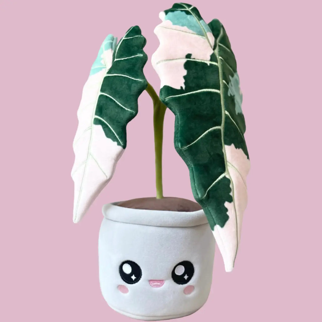 Variegated Alocasia Plushie