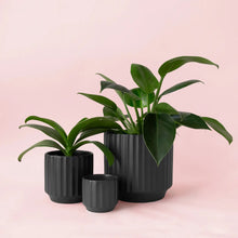 Load image into Gallery viewer, Monroe Planter - Black
