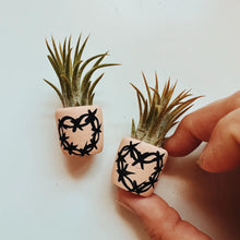 Load image into Gallery viewer, Barbwire Heart Mini Planter
