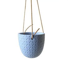 Load image into Gallery viewer, Virago 3.5&quot; Hanging Planter
