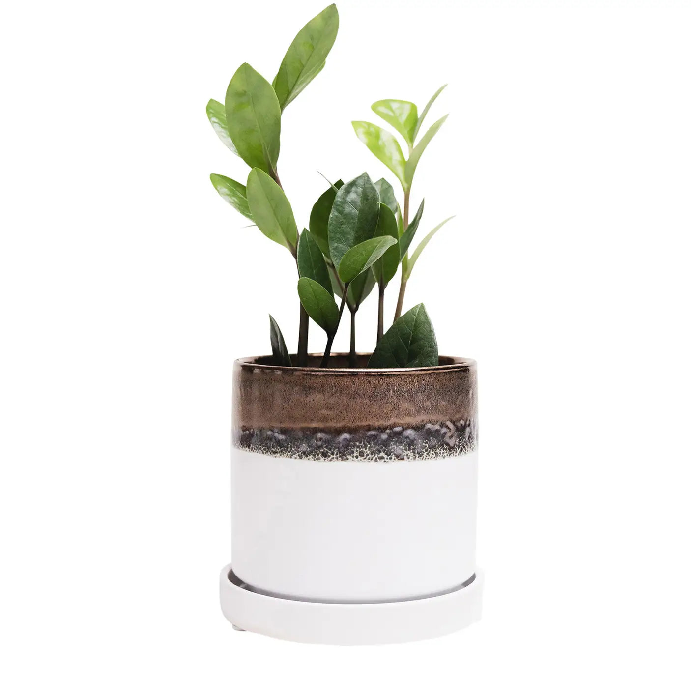 habitat planter pots Minute Ceramic Plant Pots Indoor 5"