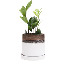 Load image into Gallery viewer, Minute Ceramic Plant Pots Indoor 5&quot;
