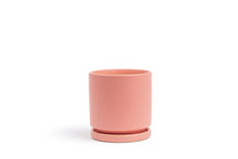 Load image into Gallery viewer, 4.5&quot; Pot with Water Tray
