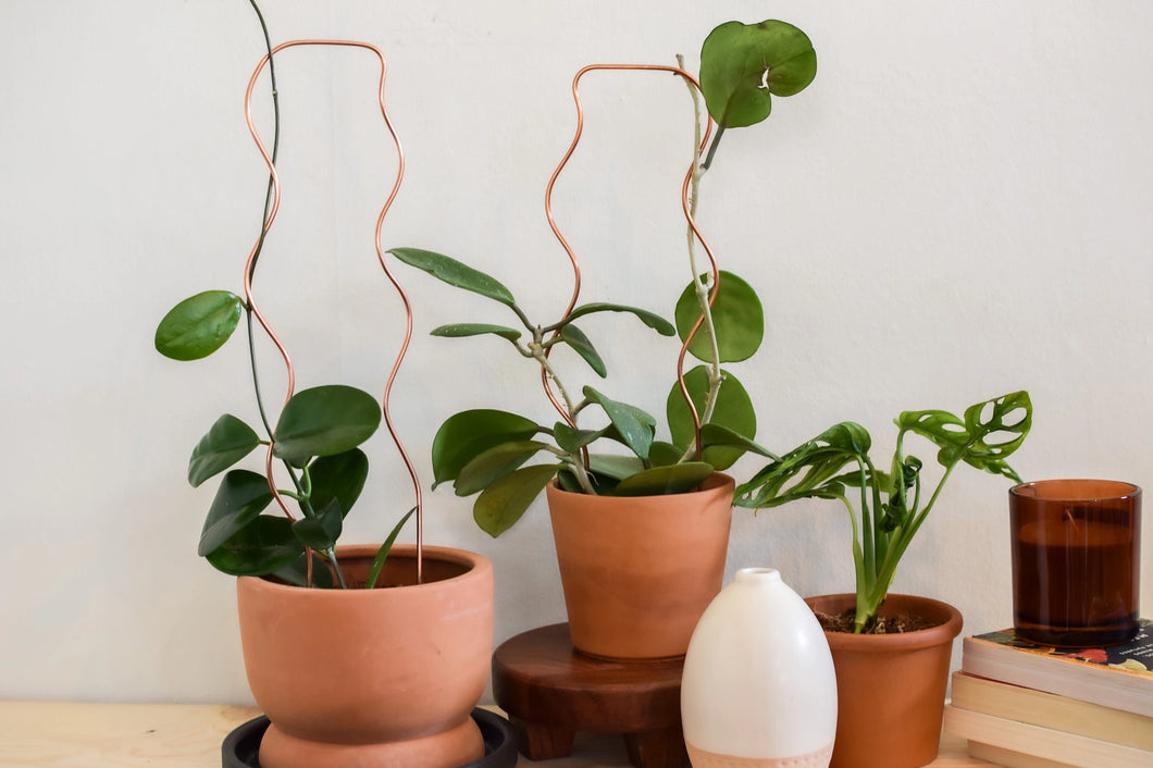copper trellis for plants Squiggle Arch Copper Trellis – Habitat Plants + Coffee