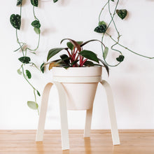 Load image into Gallery viewer, Metal Plant Stand with Pot
