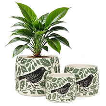Load image into Gallery viewer, Crow &amp; Leaves Planter
