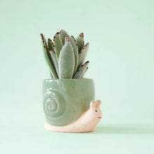 Load image into Gallery viewer, Snail Planters

